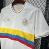 2024/2025 Colombia 100th Anniversary Football Commemorative Jersey