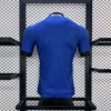 2024/2025 Player Version Spain Euro Pre-match training uniform Jersey