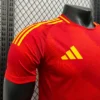 2024/2025 Spain Euro Away Jersey Player Version