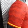 2024/2025 Player Version Spain Special Edition Football Shirt