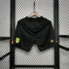 2024/2025 Spain Euro Goalkeeper uniform Short