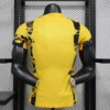 2024/2025 Player Version Inter Milan Second away game Football Shirt