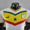 2022 Player Version Senegal Home Football Shirt