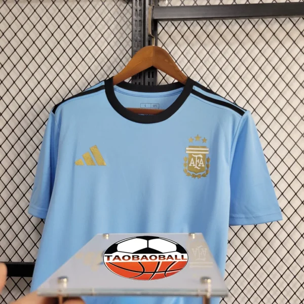 2024/2025 Argentina Training Wear Football Shirt
