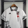 2024 Japan Special Edition Football Shirt