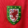 1976/1979 Retro Wales Home Shirt