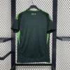 2025/2026 Algeria Away Football Shirt