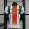 716e458b94b2a91aaa6cd8026541d923_1080x.webp 2024/2025 Player Version Club Deportivo Palestino Home Football Shirt