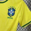 2025/2026 Brazil Training Soccer Shirt