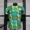 2023 Player Version Senegal Away Football Shirt