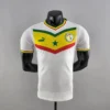 2022 Player Version Senegal Home Football Shirt