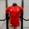 2024/2025 Spain Euro Away Jersey Player Version