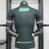2024/2025 Player Version Club Deportivo Palestino Away Football