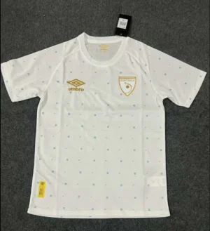 2023-2024 Guatemala Training Wear Football Shirt