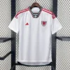 2022/2023 FIFA World Cup Wales Away Football Shirt