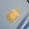 2024/2025 Argentina Training Wear Football Shirt