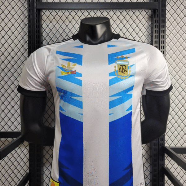 2024/2025 Player Version Argentina Special Edition Football Shirt