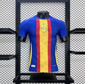 2024/2025 Player Version Spain Euro Pre-match training uniform Jersey