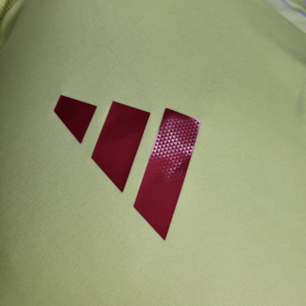 2024/2025 Spain Euro Away Jersey Player Version