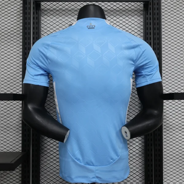2024 Player Version Belgium Away Football Shirt 1:1