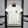2024/2025 Germany Special Edition Football Shirt