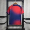 2023/2024 Paris Saint-Germain Training Wear Football Shirt