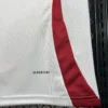2024/2025 Japan Away Football Shirt