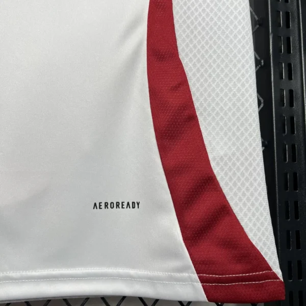 2024/2025 Japan Away Football Shirt
