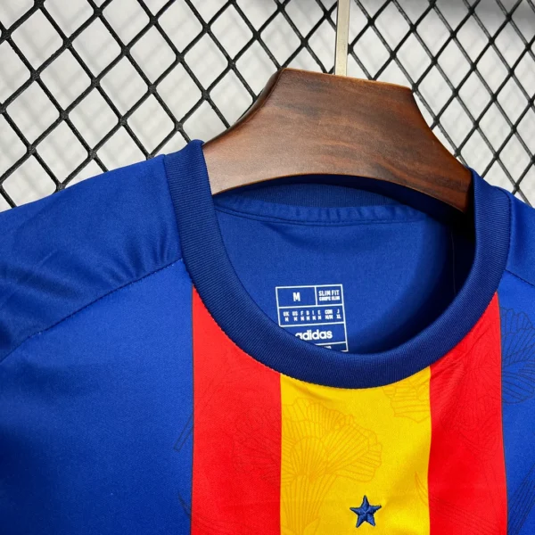 2024/2025 Spain Euro Pre-match training uniform Jersey