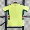2024/2025 Wales Euro Away Jersey