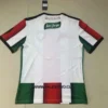 2022 Palestine Away Football Shirt