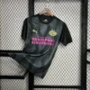 2024/2025 Eindhoven Pre-Match Training Wear Football Shirt