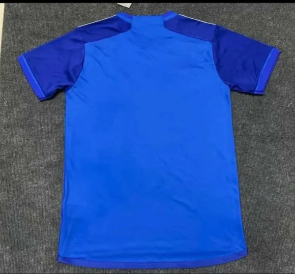 2024/2025 Cruzeiro Home Jersey
