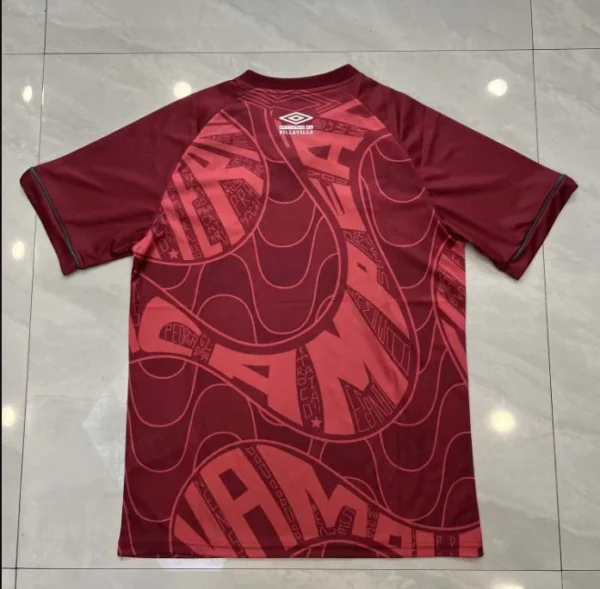 2023/2024 Fluminense Training Wear Jersey