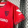 2024/2025 Sevilla Away Football Shirt